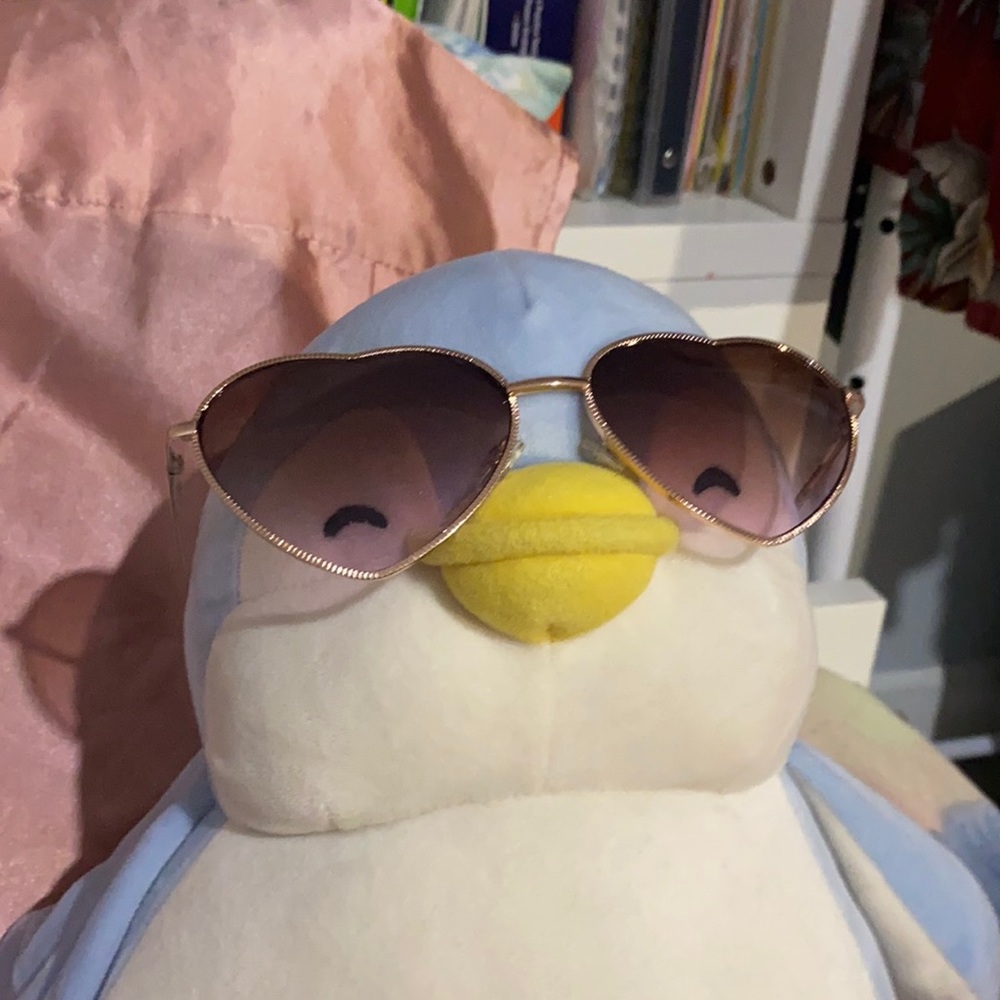 Sun Glasses 👓